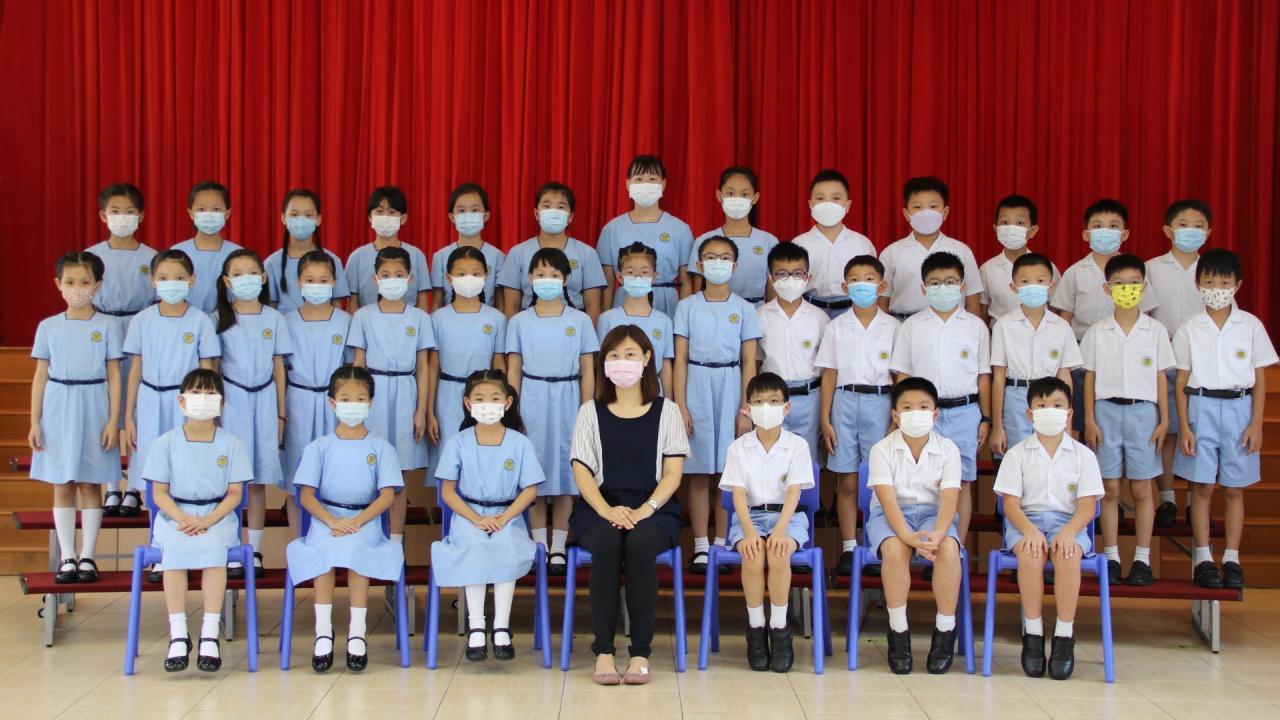 P4 B